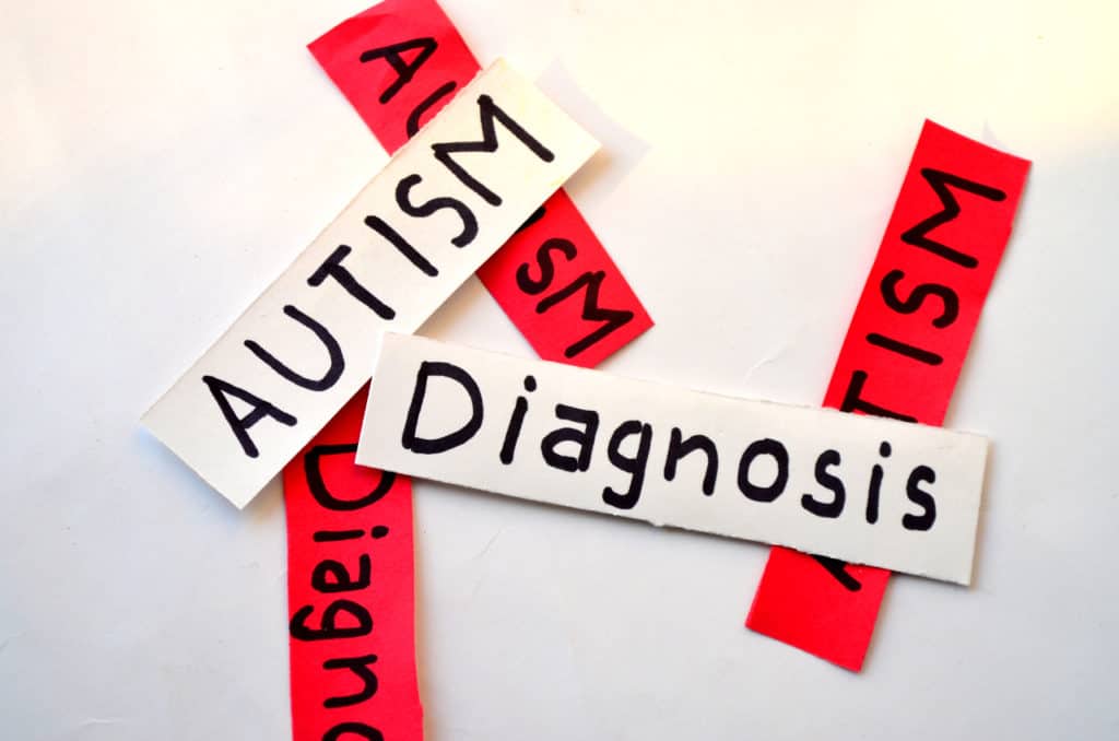 diagnose autisme Den Bosch